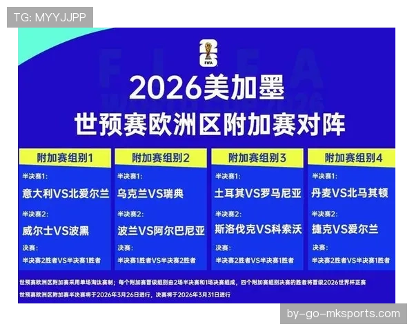 波黑冲击2026世界杯前景如何：能否时隔十年重返决赛圈
